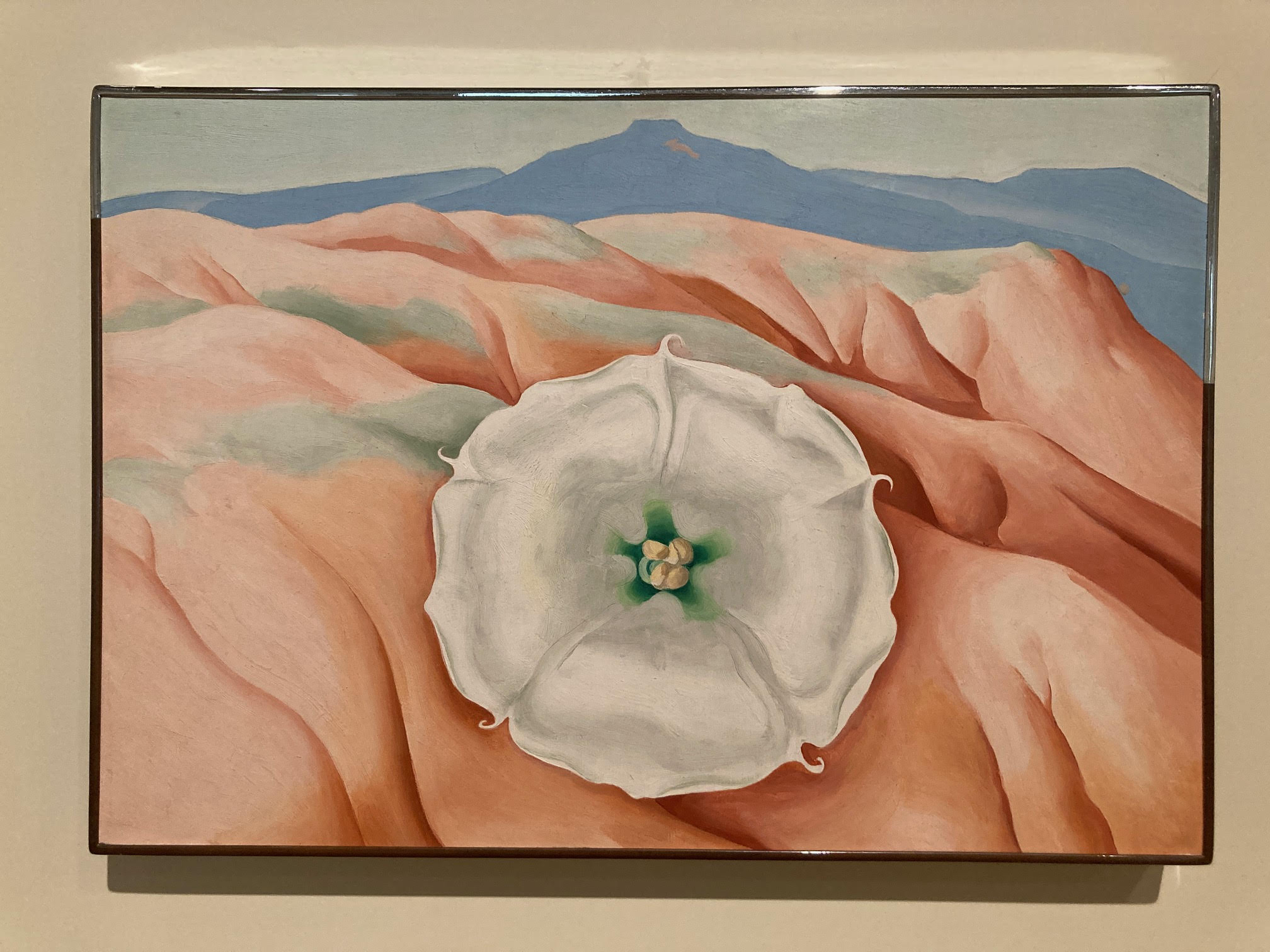 A Georgia O'Keeffe masterpiece at the Orlando Museum of Art, capturing Orlando’s artistic essence.